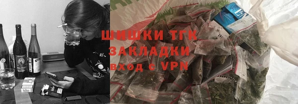 твердый Тавда