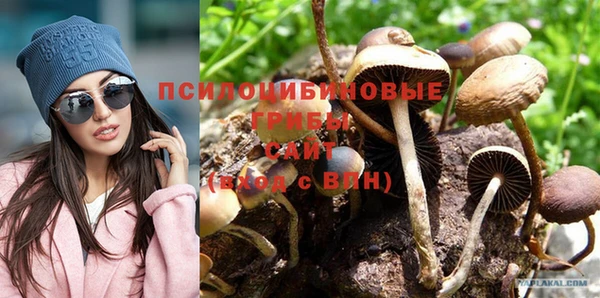 бутират Баксан