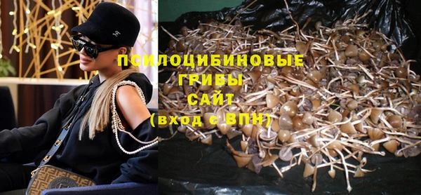 дживик Струнино