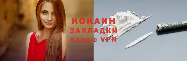 стаф Балахна