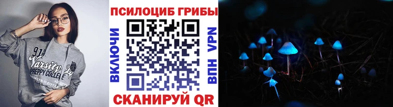 Псилоцибиновые грибы Cubensis Новозыбков