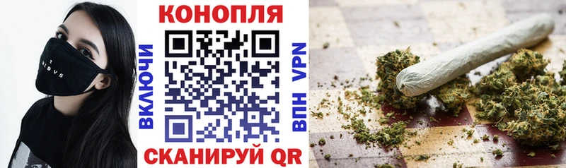 Марихуана конопля  даркнет сайт  Новозыбков 